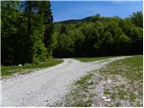 Ukanc - Planina Zadnji Vogel